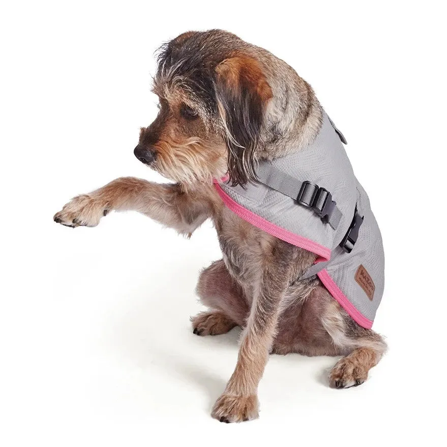 1 Pet X Kazoo Dog Rug Active Adventure Silver & Pink
