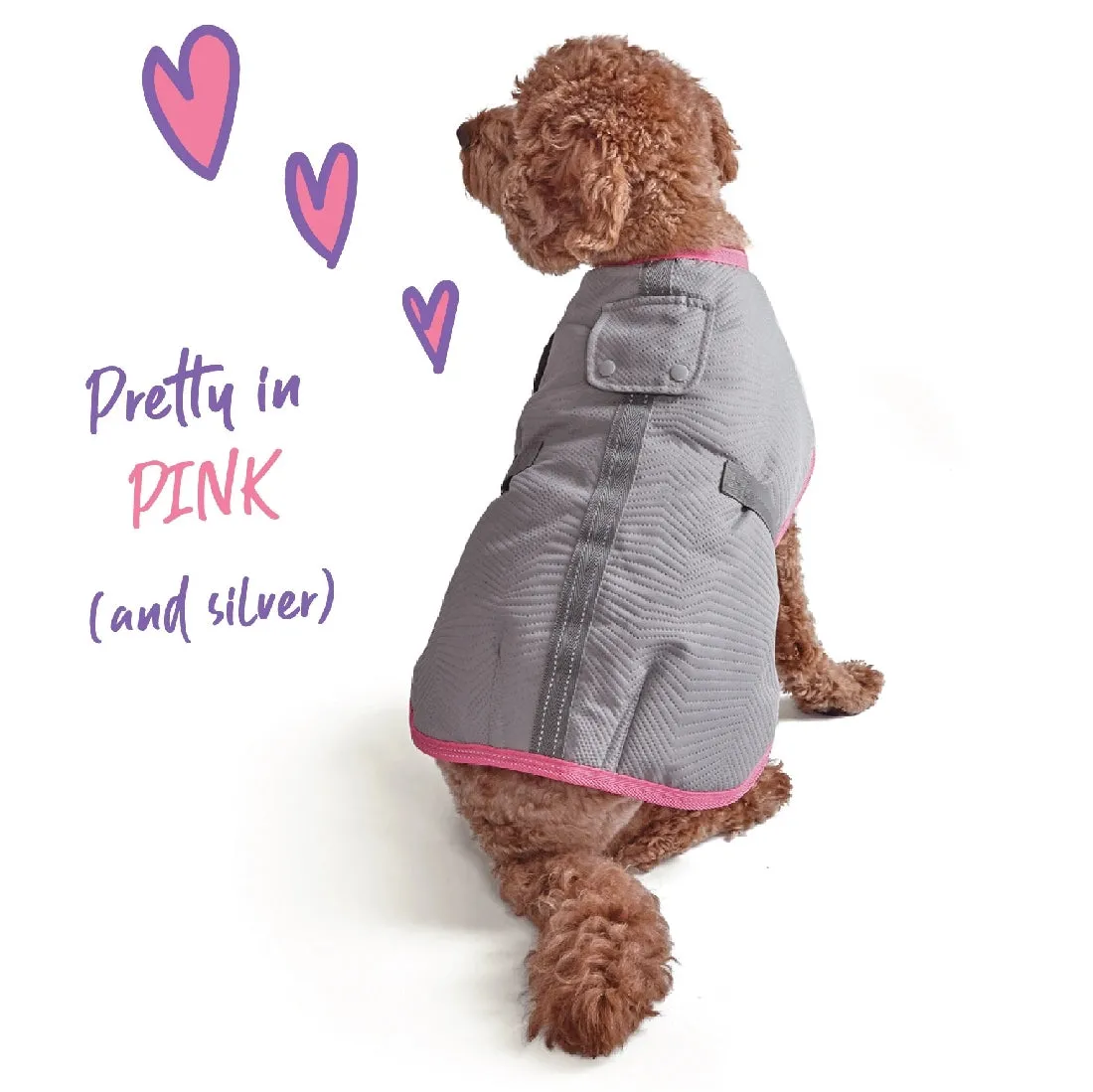 1 Pet X Kazoo Dog Rug Active Adventure Silver & Pink