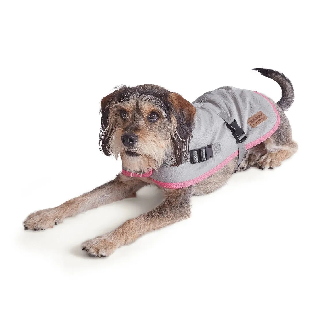 1 Pet X Kazoo Dog Rug Active Adventure Silver & Pink