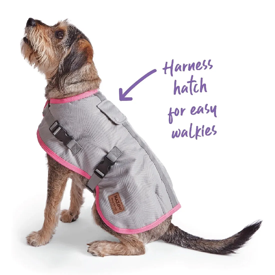 1 Pet X Kazoo Dog Rug Active Adventure Silver & Pink
