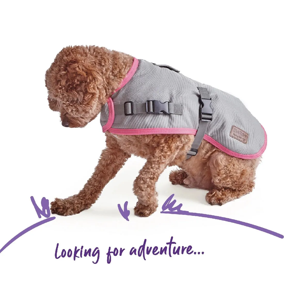 1 Pet X Kazoo Dog Rug Active Adventure Silver & Pink