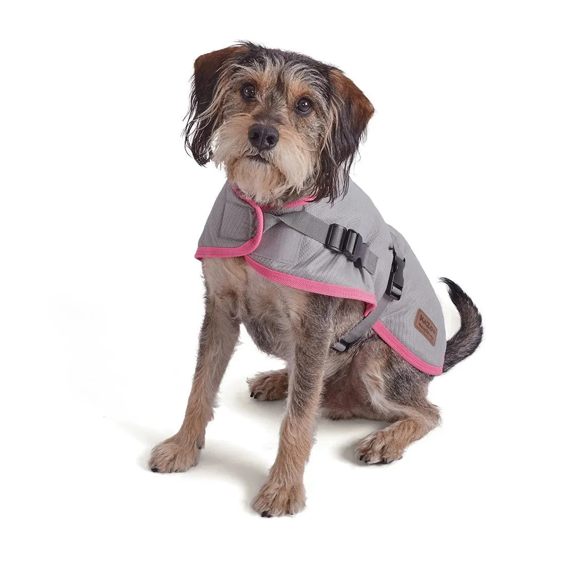 1 Pet X Kazoo Dog Rug Active Adventure Silver & Pink