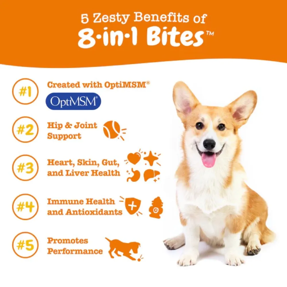 10% OFF: Zesty Paws 8-in-1 Bites Peanut Butter Flavor Dog Supplement Chews 90ct