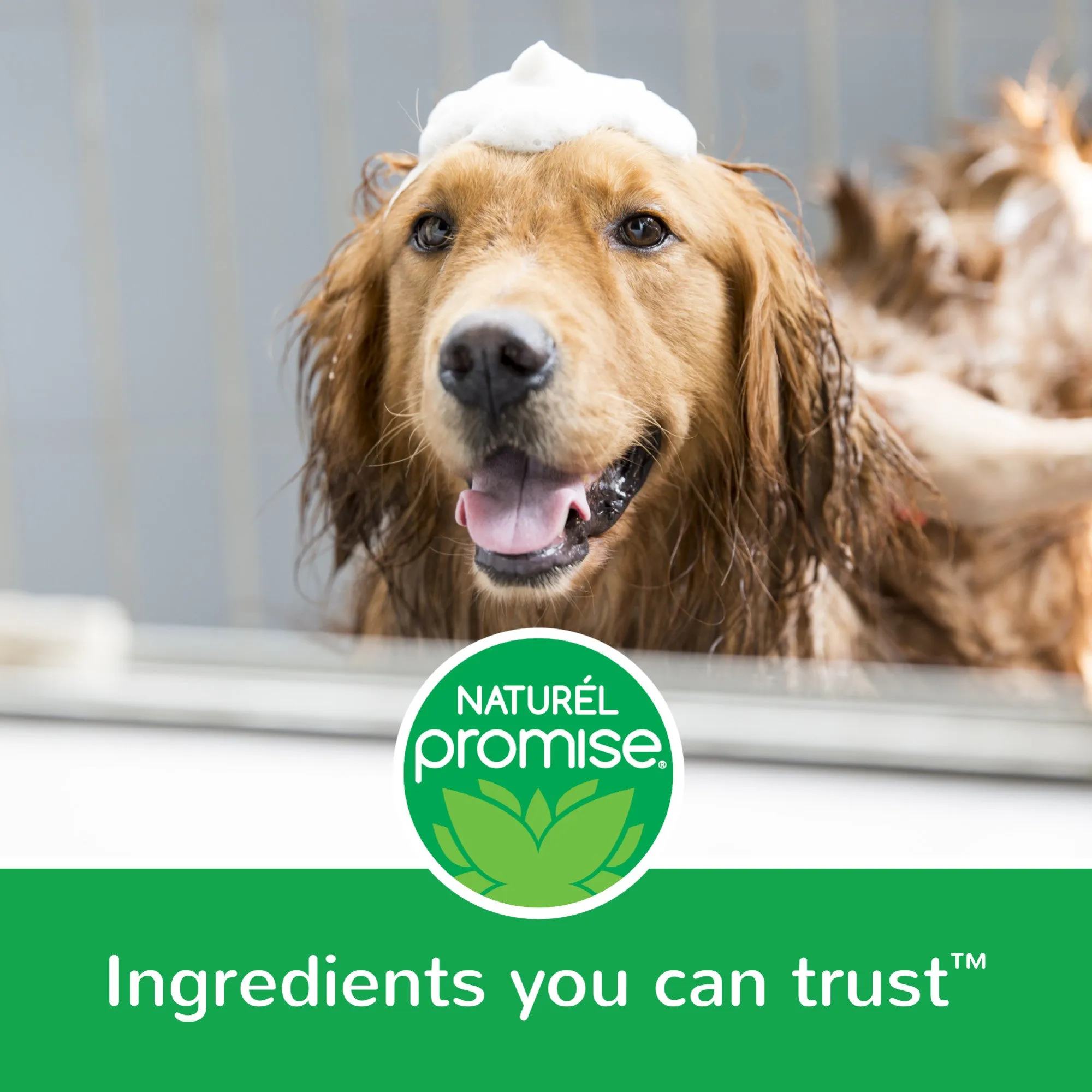 20% OFF: Naturél Promise Fresh & Soothing Oatmeal Itch Relief Medicated Spray For Dogs & Cats