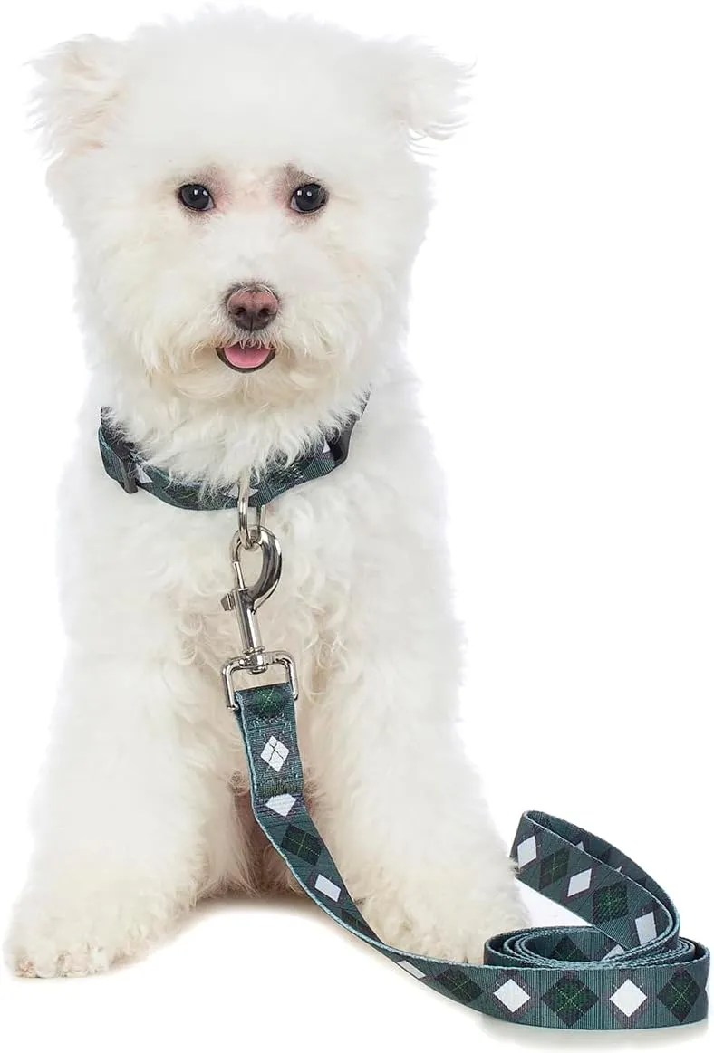 2PCS Dog Plaid Collars and Funny Leash Set Pet Gift Adjustable Dogs Green Checks Collars for Small to Large Pets (Small)