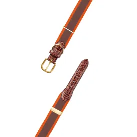 Adjustable Brown & Orange Grosgrain Dog Collar with Embossed Calf Tabs