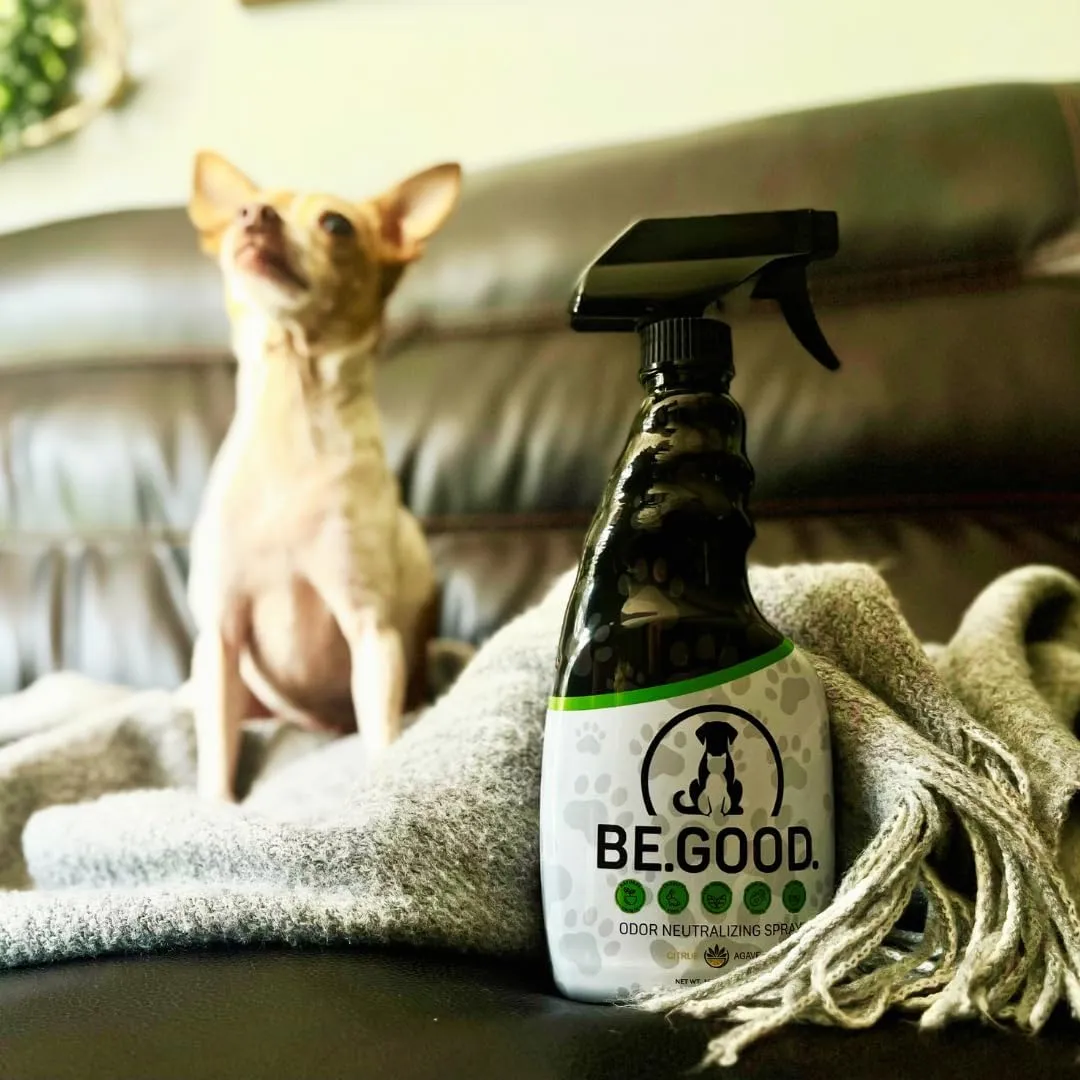 BE.GOOD. Pet Odor Eliminator, 16oz Spray, Citrus Agave - Pet Odor Eliminator for Home - Dog Urine Odor Eliminator - Pet Odor Remover, Green