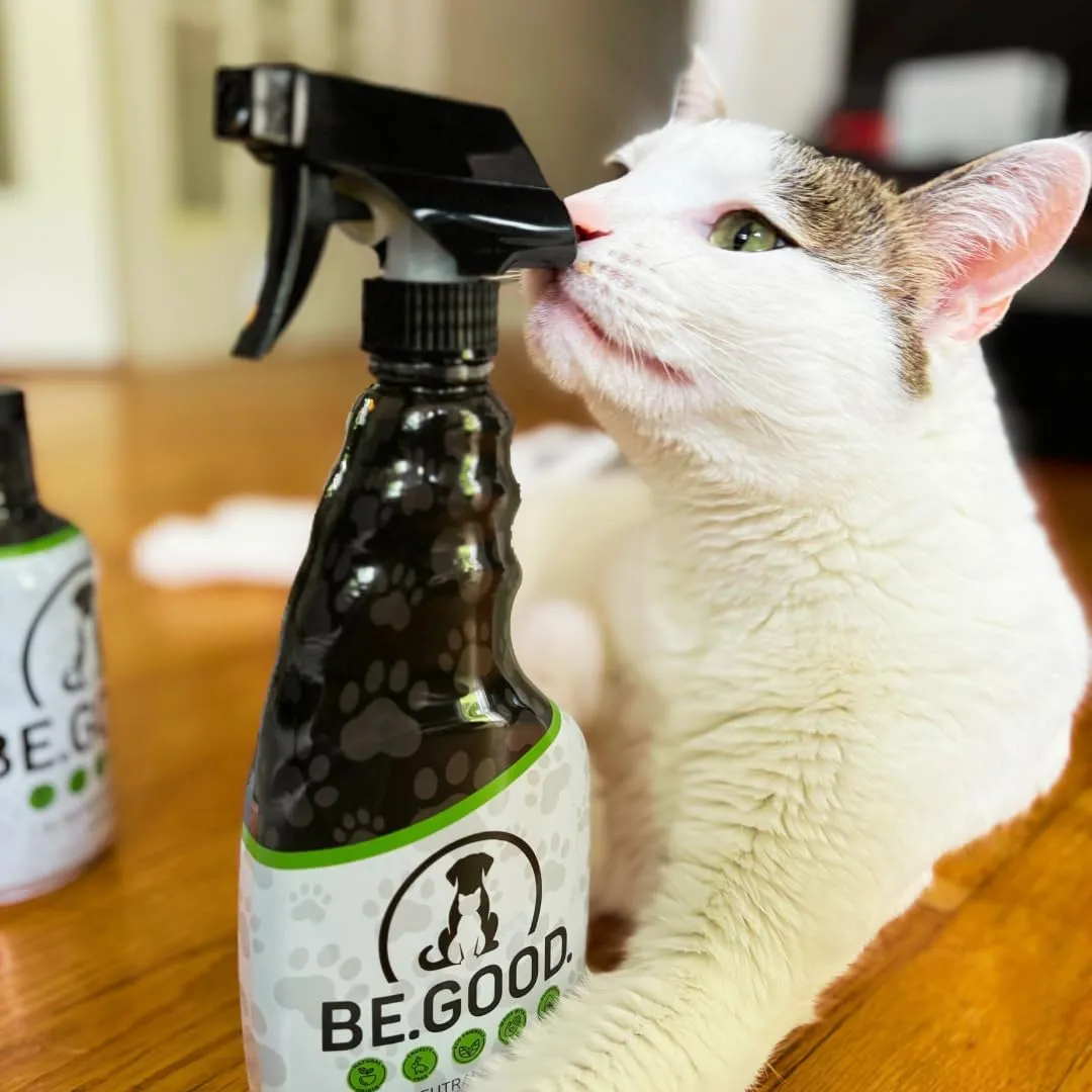 BE.GOOD. Pet Odor Eliminator, 16oz Spray, Citrus Agave - Pet Odor Eliminator for Home - Dog Urine Odor Eliminator - Pet Odor Remover, Green