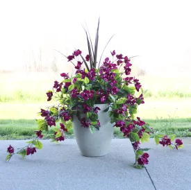 Blackberry Bouganvillea Vine “Drop-In” Insert