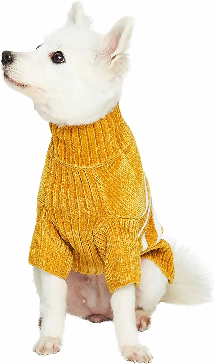 Blueberry Pet Soft Striped Dog Sweater, Mustard, 12" Back Length - Warm Winter Gear, Small Dog Fleece Sweater, Stylish Pet Clothes