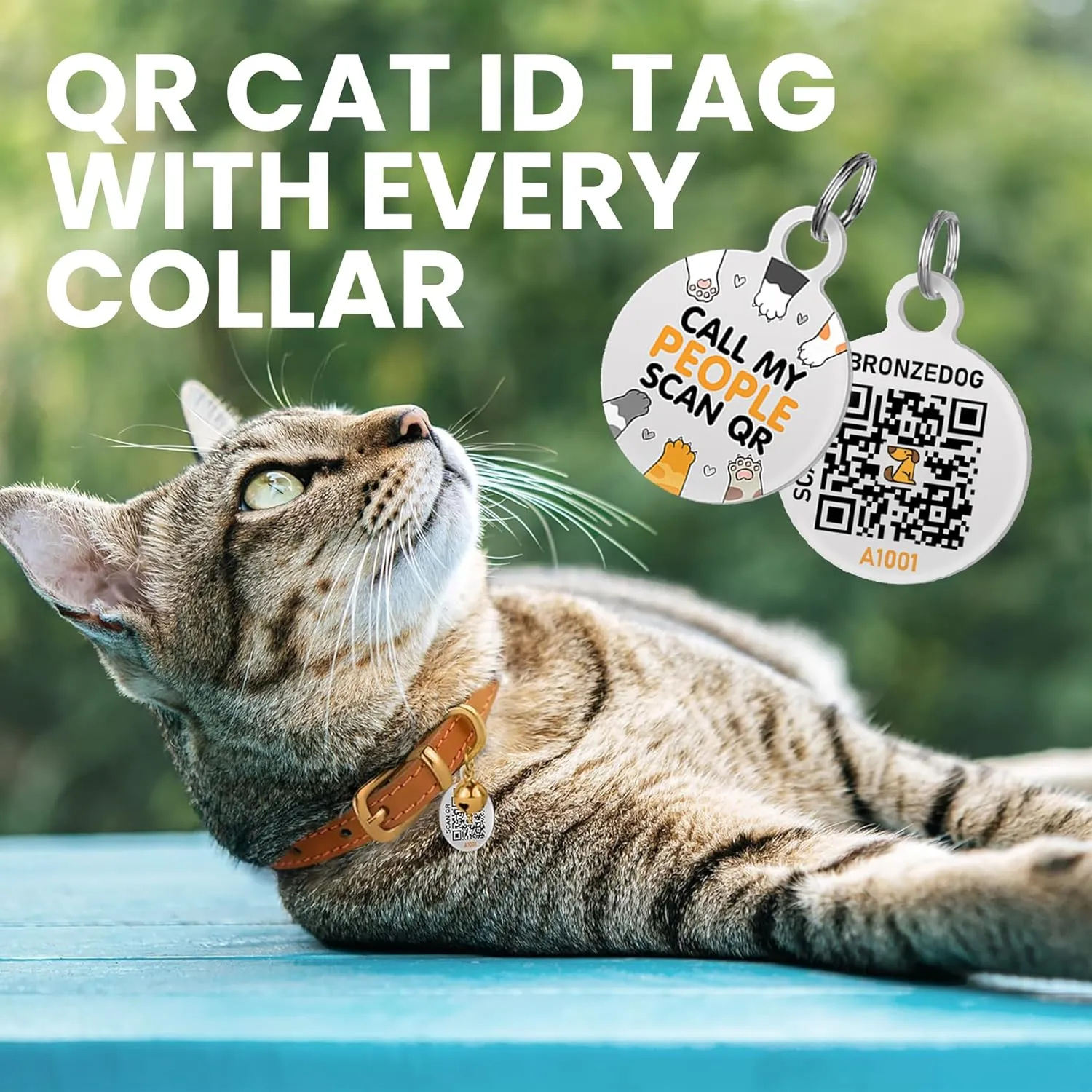 BRONZEDOG Leather Cat Collar with Removable Bells Non Breakaway Kitten QR Tag for Girl Boy (7" - 9" for Cats, Purple & Gold)