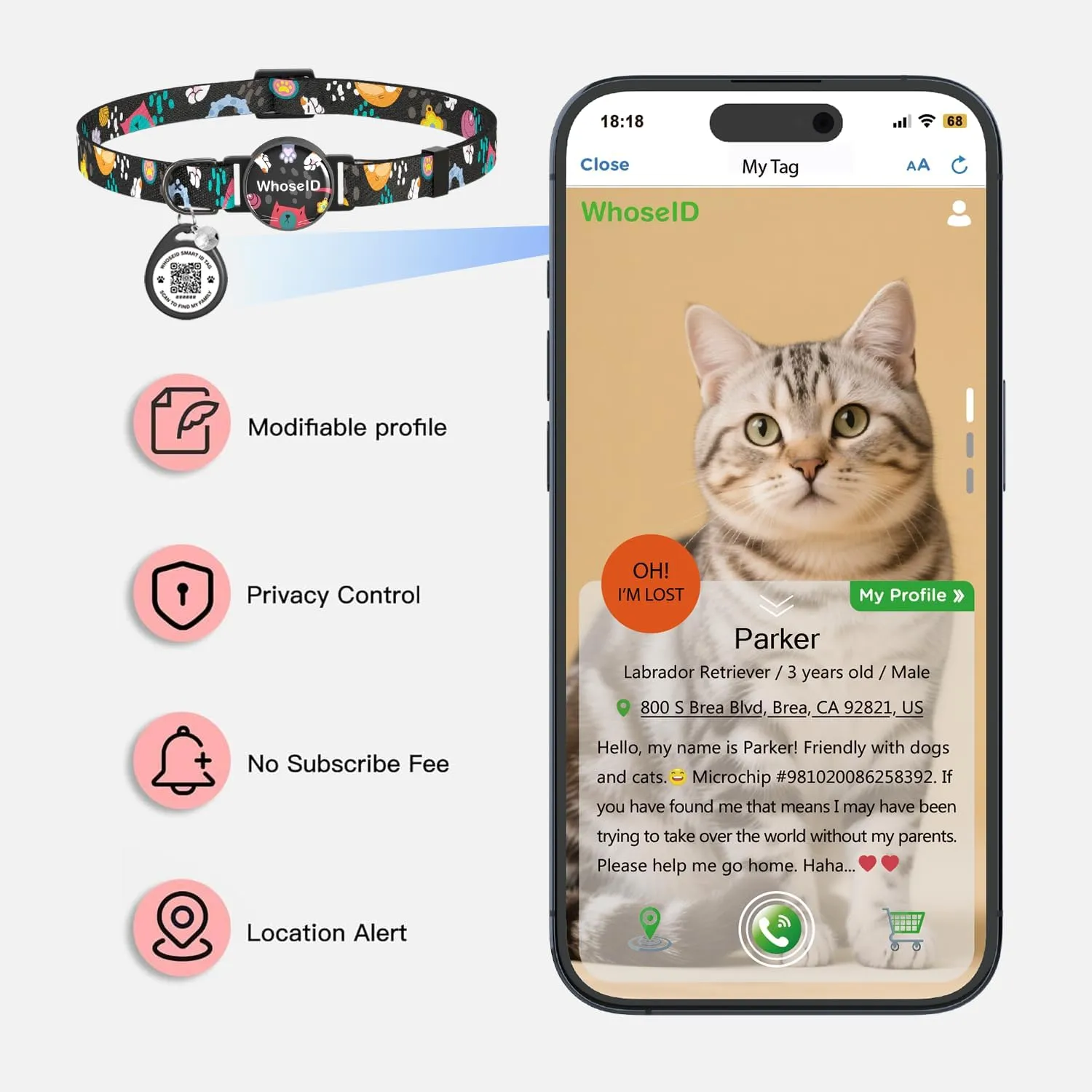 Cat Collar with Bells, Cat Collar with Breakaway Safety Buckle, 0.4 Inches Width Lightweight Adjustable Collar, QR Code Tag, Collar with Cat ID Tag (Black, Cat Paw)