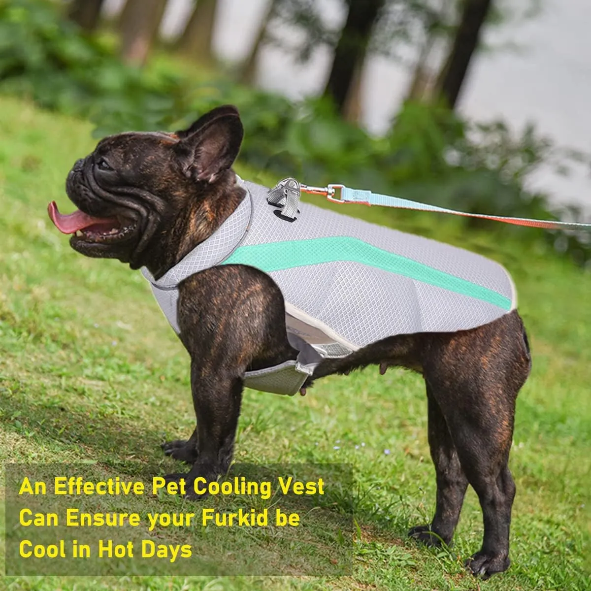Cooler Jacket Pet Vest Dog Clothes for Instant Cooling Pet Summer T-Shirts Breathable Cool Clothes Mesh Dog Vest Harness