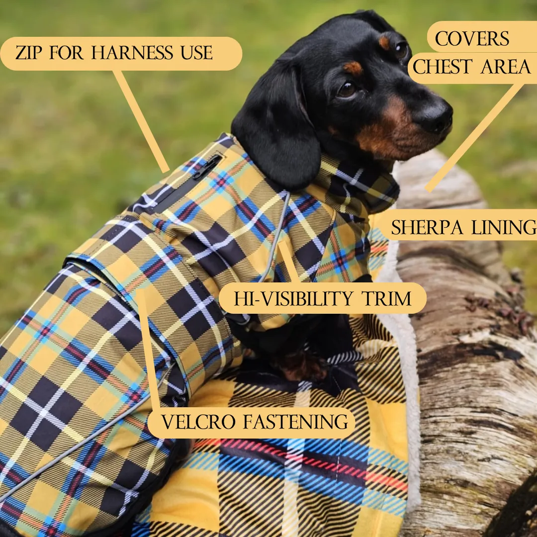 Cornish Tartan Waterproof Dog Coat