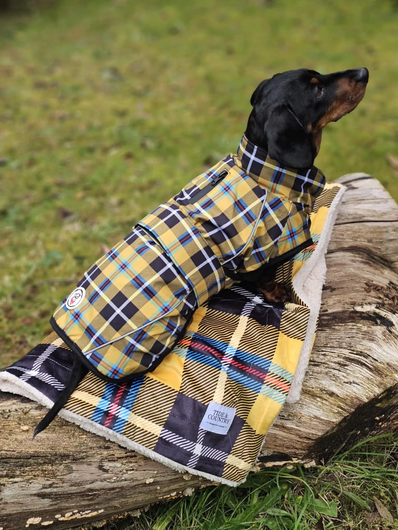 Cornish Tartan Waterproof Dog Coat