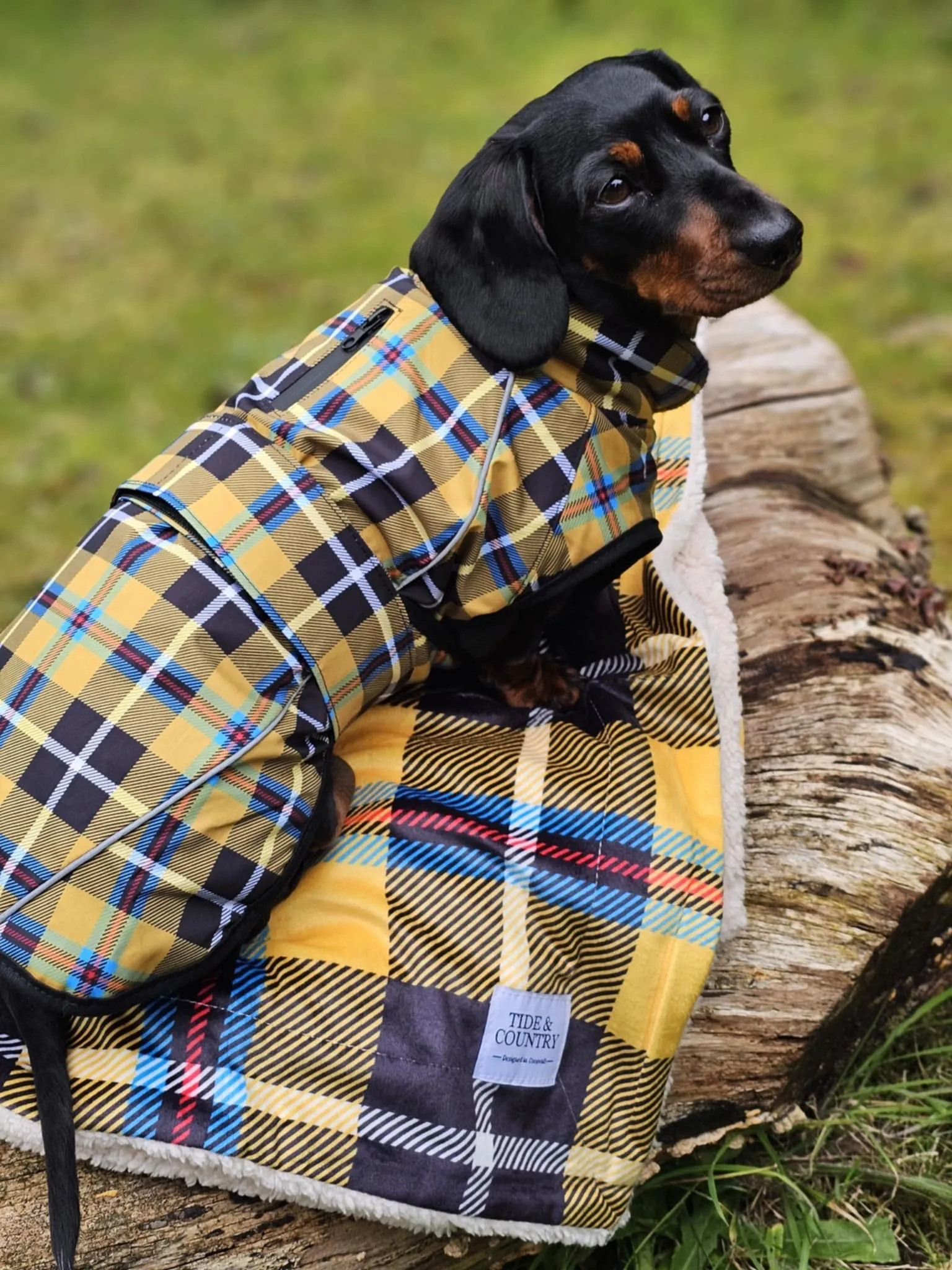 Cornish Tartan Waterproof Dog Coat