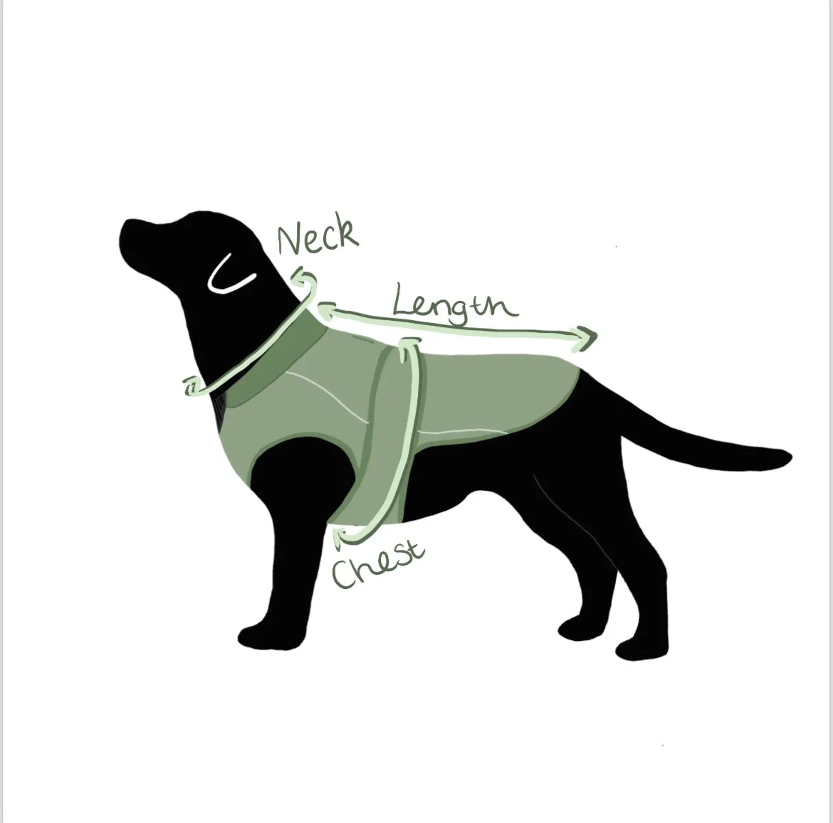 Cornish Tartan Waterproof Dog Coat