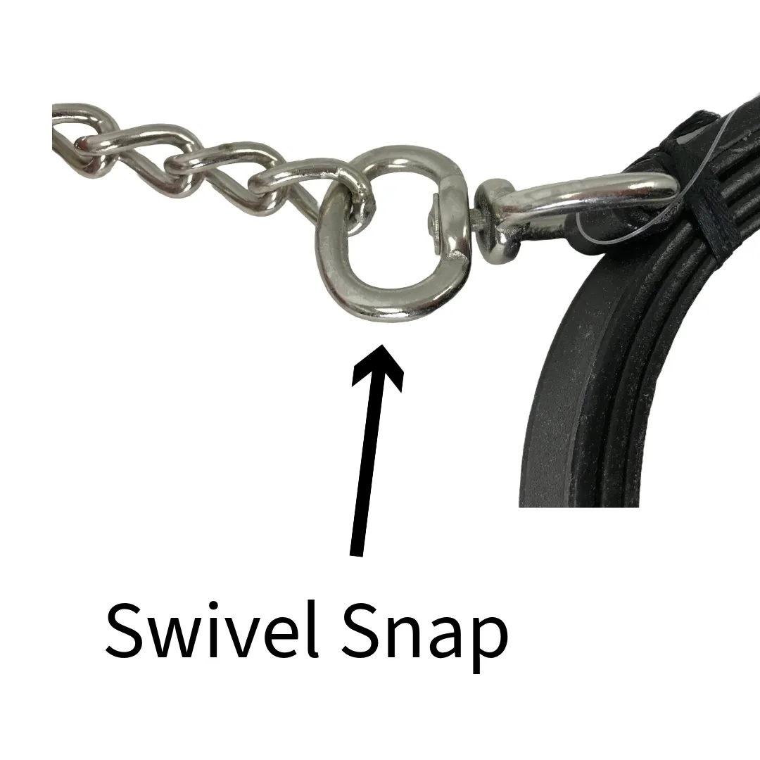 Derby Originals Multipurpose Flat Leather Lead for Cattle, Horse or Dog with Chain and Swivel Snap