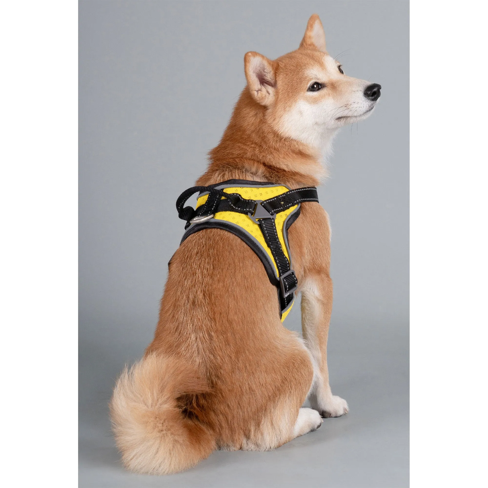 Dog Helios&reg; Scorpion Sporty Dog Harness