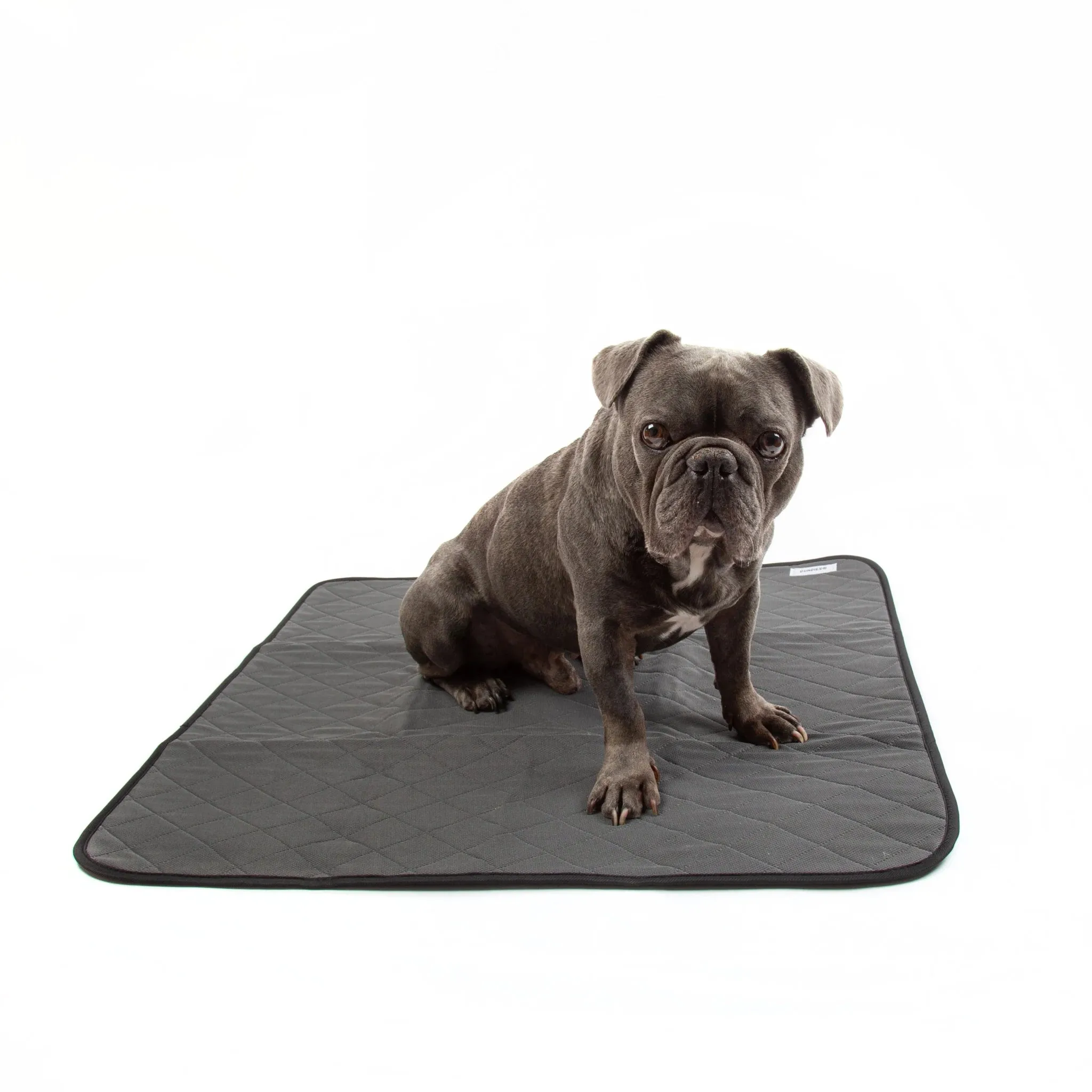 Dundies Washable Puppy Pads