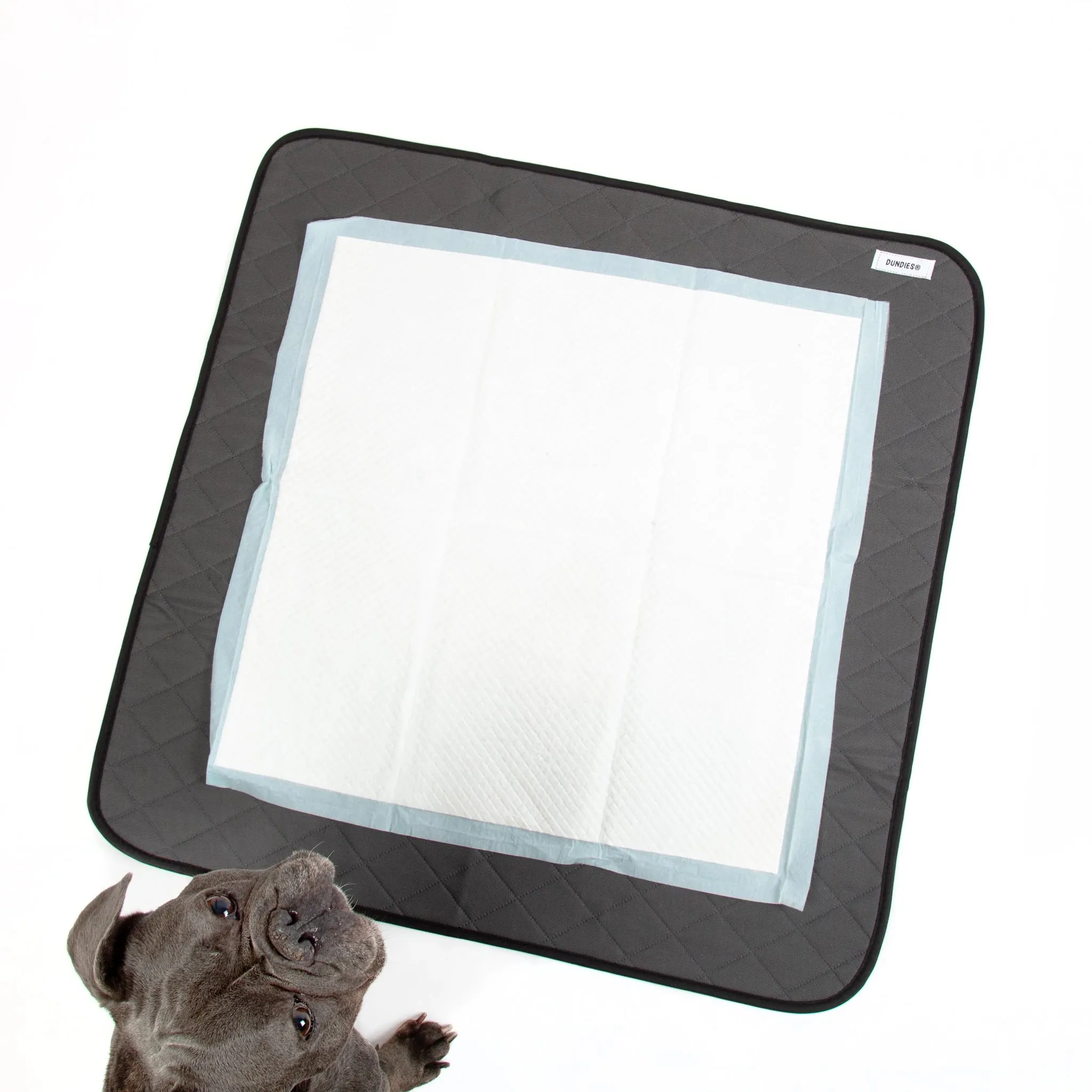 Dundies Washable Puppy Pads