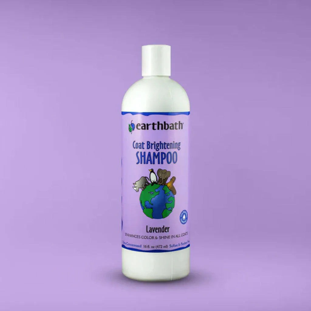 Earthbath Light Color Coat Brightening Lavender Shampoo for Dogs & Cats (16 oz)