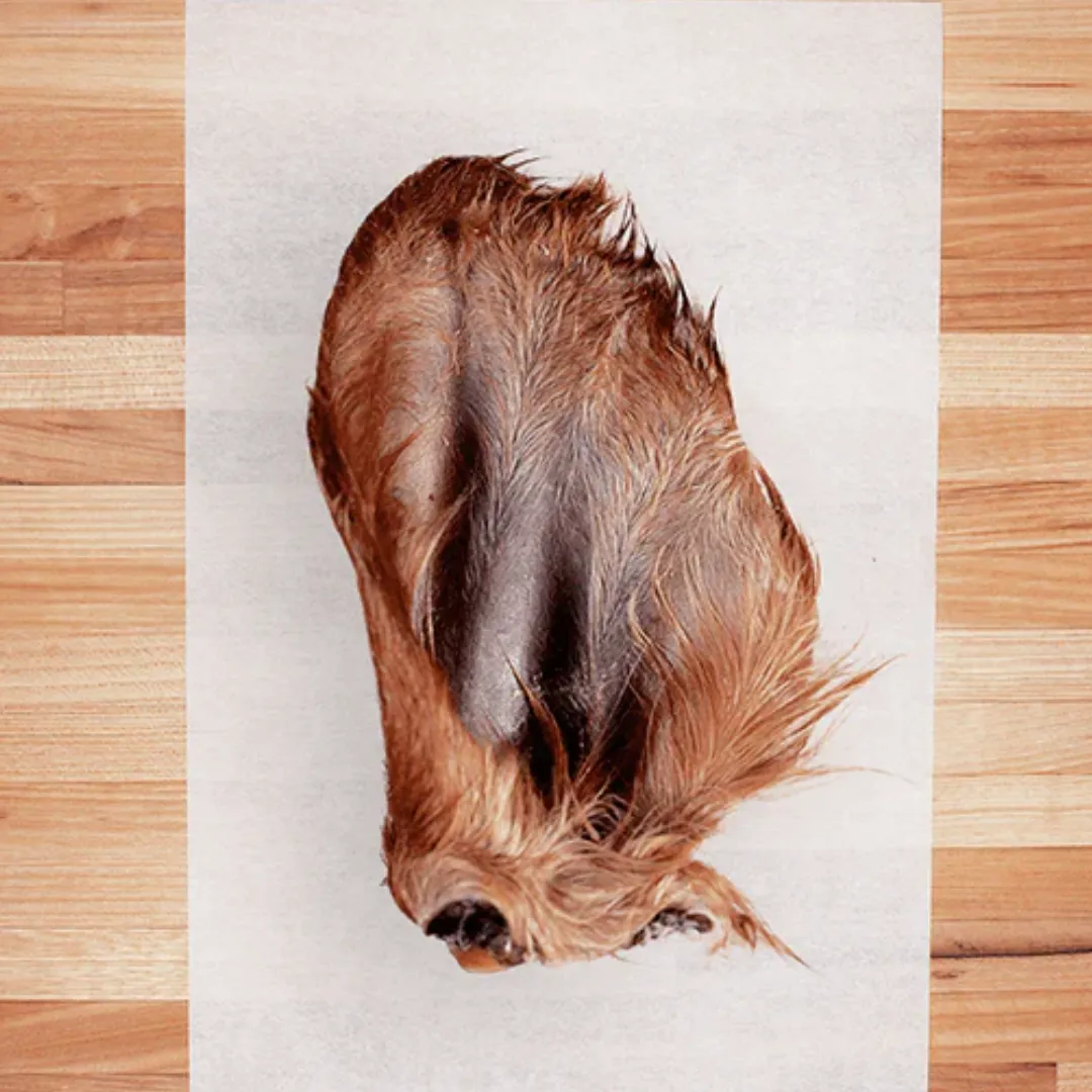 Farm Hounds Bulk Beef Ear with Hair Dog Chew
