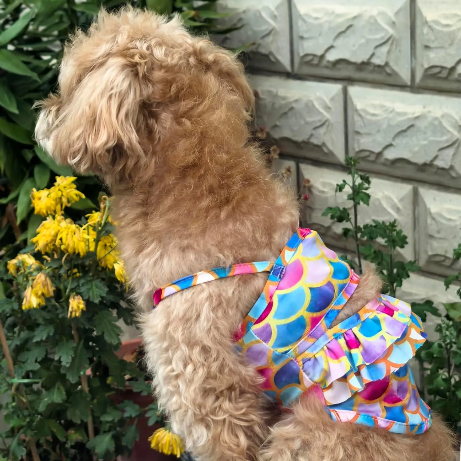 Funny Dog Swimwear Bikini Summer Dog Clothes Beach Swimsuit Puppy Bathing Suit Puppy Vest Cooling Pet Shirt for Small Dogs, Cat Apparel (Mermaid, Small)