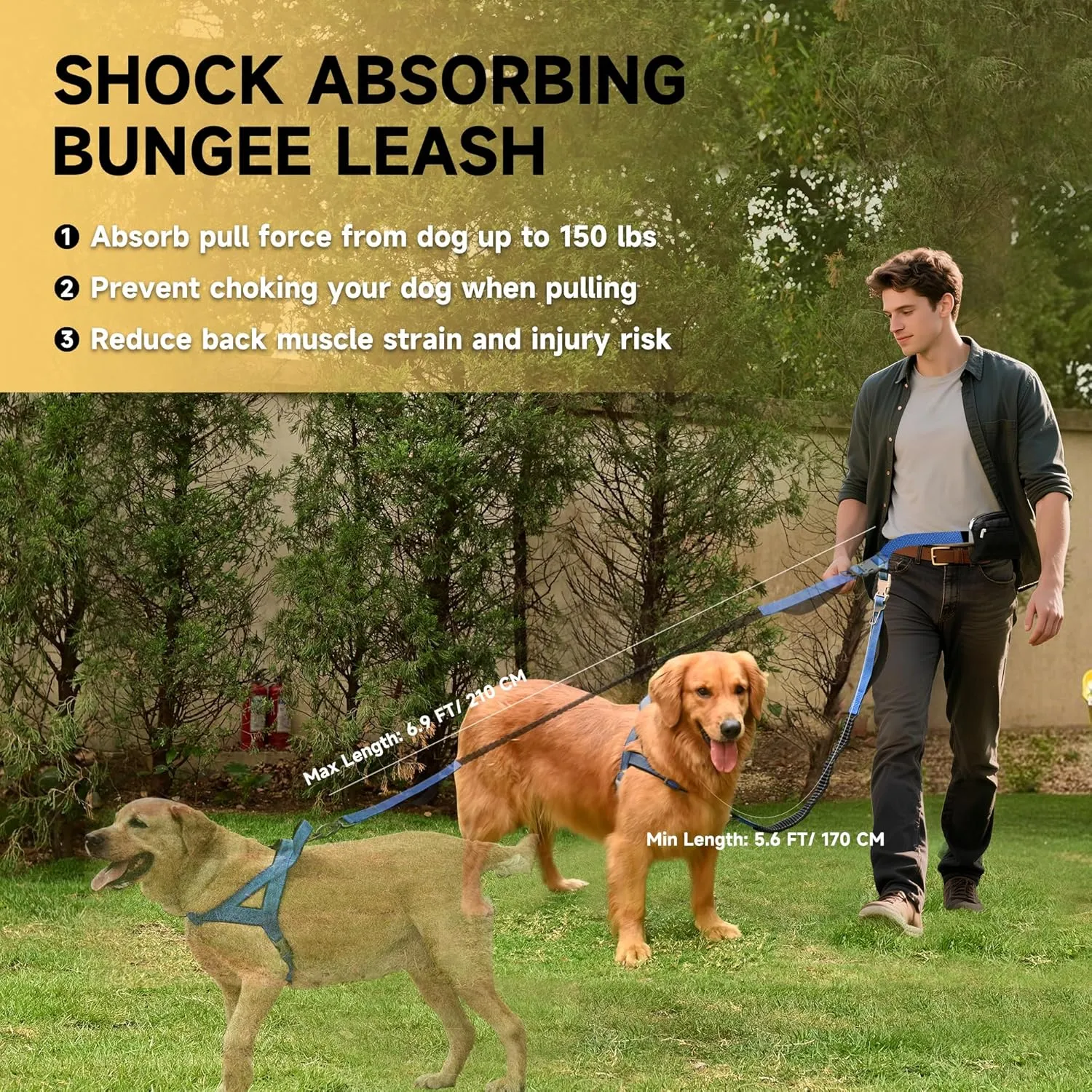 Hands Free Dog Leash with Zipper Pouch, Double Handle Running Reflective Bungee Waist Leash for Dog Walking, Training and Hiking for Small Medium Large Dogs (Blue)
