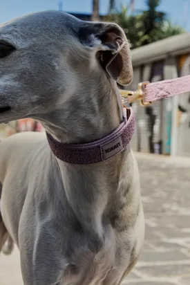 Hommey Boucle Pet Collar - Lilac
