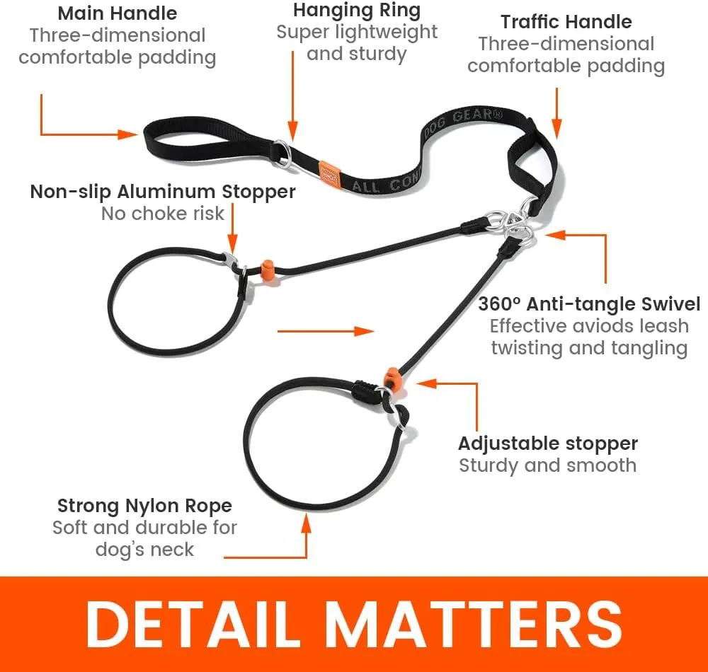 Howgo Double Slip Leash Slip Lead with Two Handles| Dual Dog Slip Lead for 2 Dogs,360 Swivel No Tangle | Dog Training Collar | Double Clip Leash Coupler and Splitter (MintGreen, 6FT)
