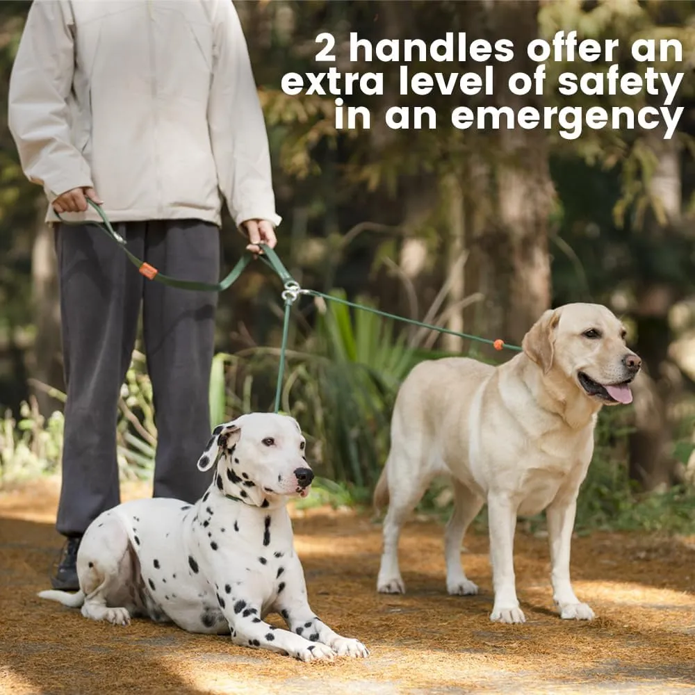 Howgo Double Slip Leash Slip Lead with Two Handles| Dual Dog Slip Lead for 2 Dogs,360 Swivel No Tangle | Dog Training Collar | Double Clip Leash Coupler and Splitter (MintGreen, 6FT)