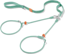 Howgo Double Slip Leash Slip Lead with Two Handles| Dual Dog Slip Lead for 2 Dogs,360 Swivel No Tangle | Dog Training Collar | Double Clip Leash Coupler and Splitter (MintGreen, 6FT)