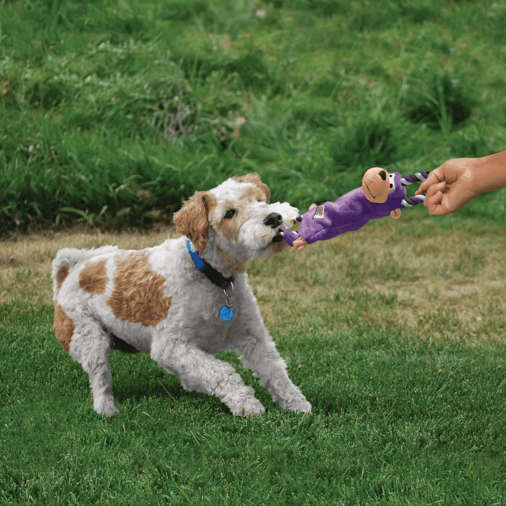 KONG DOG - Tugger Knots Monkey