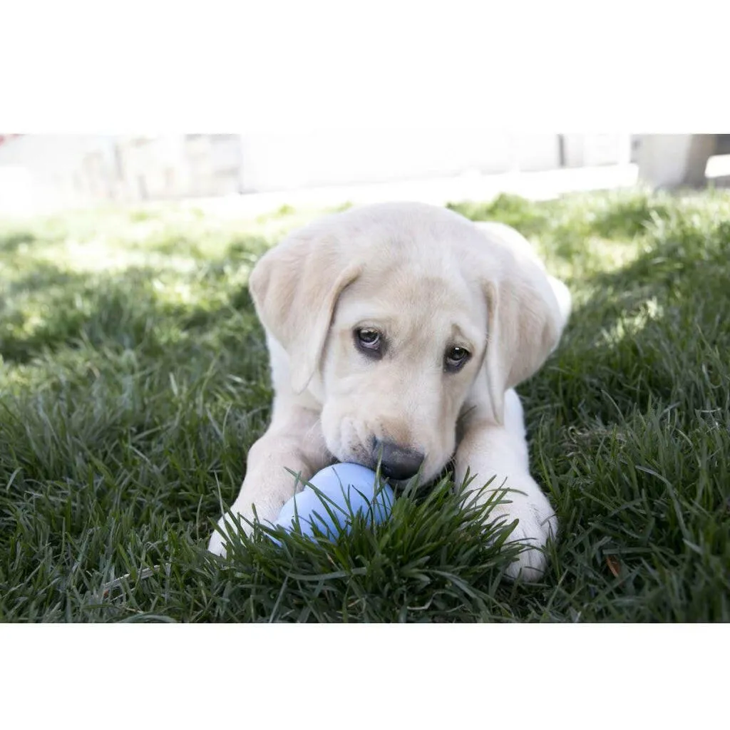 Kong Stuff'N Snacks Puppy Recipe Treats For Puppies