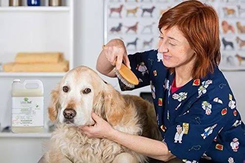 Lillian Ruff Oatmeal Dog Shampoo - Lavender Coconut Scent with Aloe - Deodorize and Soothe Dry Itchy Skin - Gentle Cleanser for Normal to Sensitive Skin - Made in USA