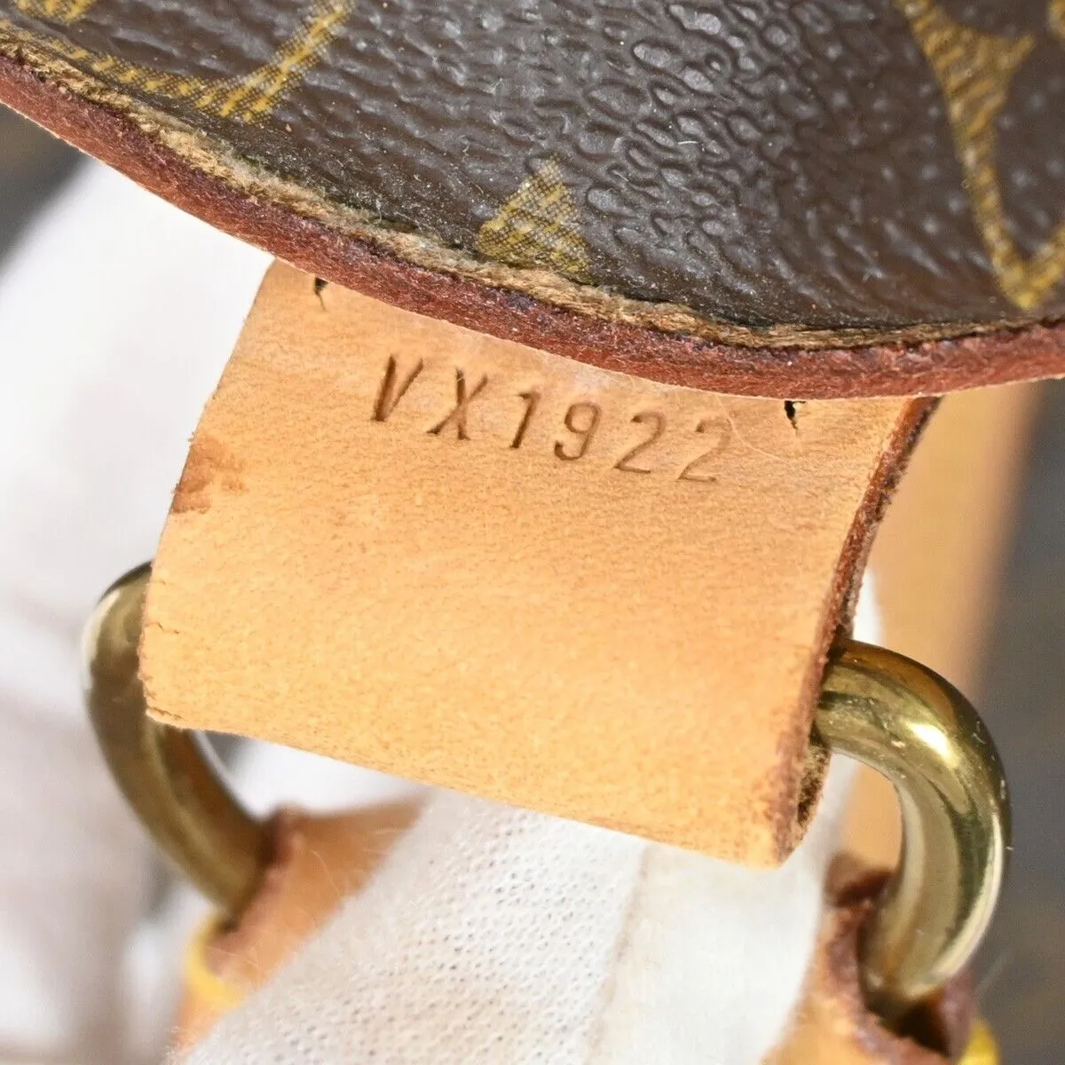 Louis Vuitton Sac Chien  Canvas Handbag ()