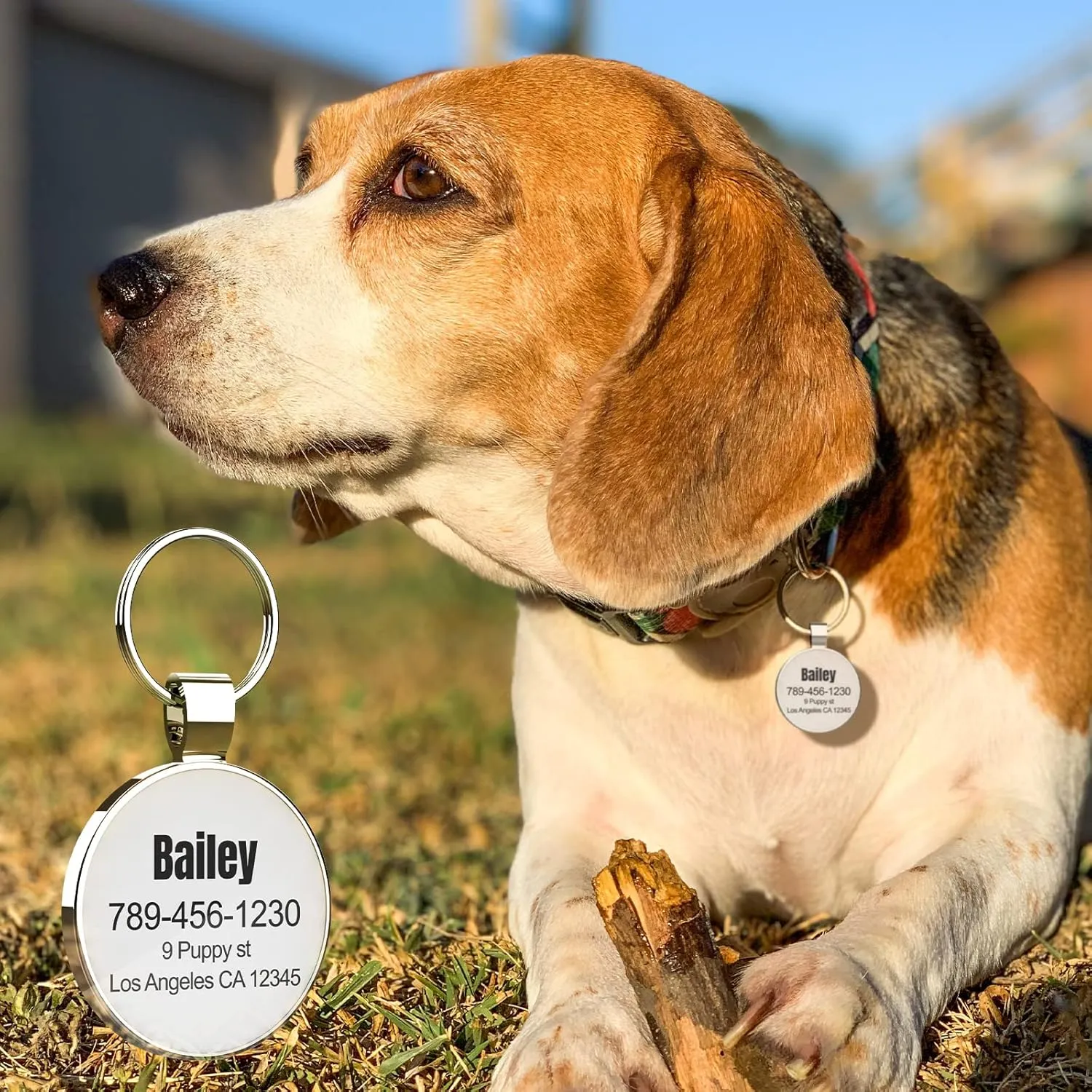MYLUCKYTAG QR Code Personalized Pet ID Tags Dog Tags - Pet Online Profile - Scan QR Receive Instant Pet Location Alert Email