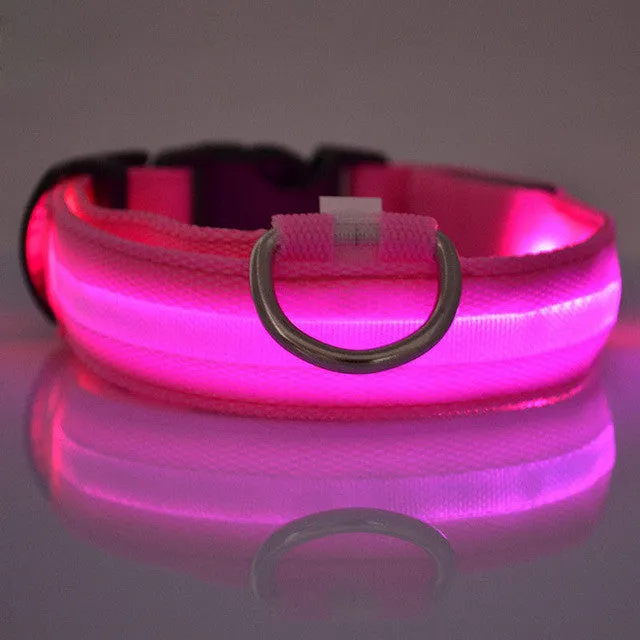 New Qualified Hot selling Safety Pet Collar For Lighted Up Nylon Solid LED Dog Collar Glow Necklace Levert Dropship dig692