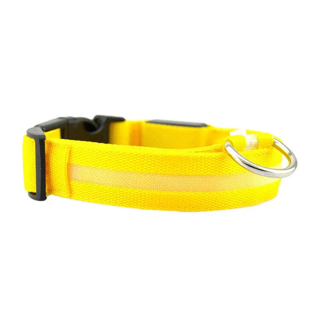 New Qualified Hot selling Safety Pet Collar For Lighted Up Nylon Solid LED Dog Collar Glow Necklace Levert Dropship dig692