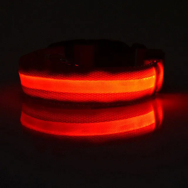 New Qualified Hot selling Safety Pet Collar For Lighted Up Nylon Solid LED Dog Collar Glow Necklace Levert Dropship dig692