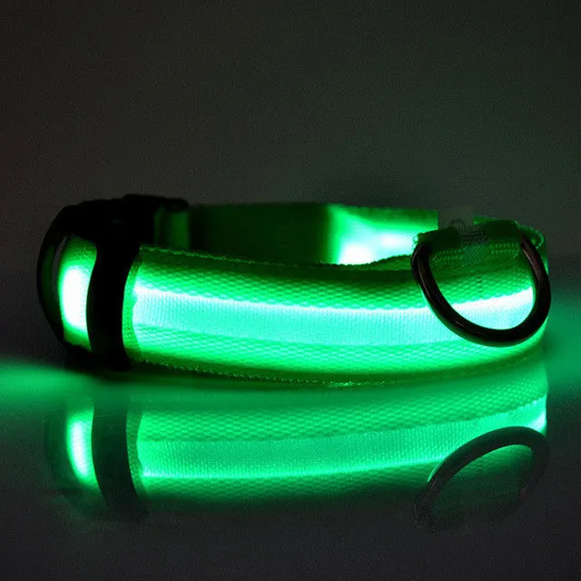 New Qualified Hot selling Safety Pet Collar For Lighted Up Nylon Solid LED Dog Collar Glow Necklace Levert Dropship dig692