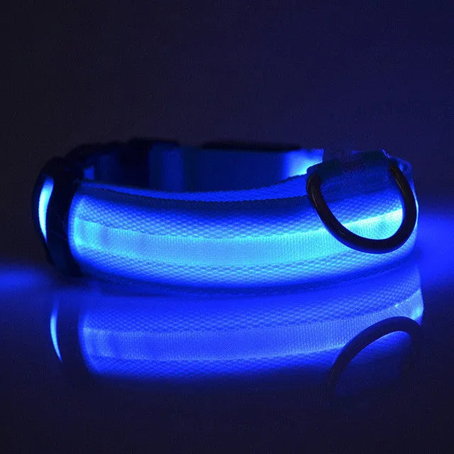New Qualified Hot selling Safety Pet Collar For Lighted Up Nylon Solid LED Dog Collar Glow Necklace Levert Dropship dig692