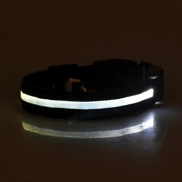 New Qualified Hot selling Safety Pet Collar For Lighted Up Nylon Solid LED Dog Collar Glow Necklace Levert Dropship dig692