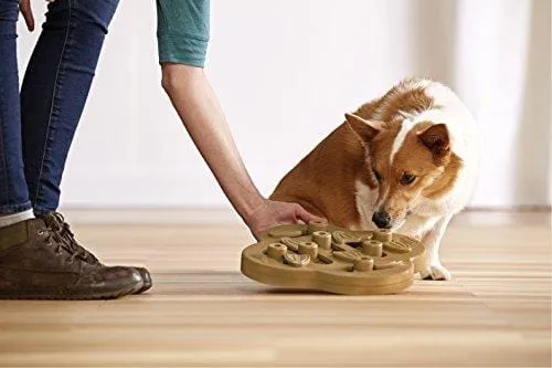 Nina Ottosson Outward Hound Puzzle Toy for Dogs - Stimulating Interactive Dog Game for Dispensing Treats