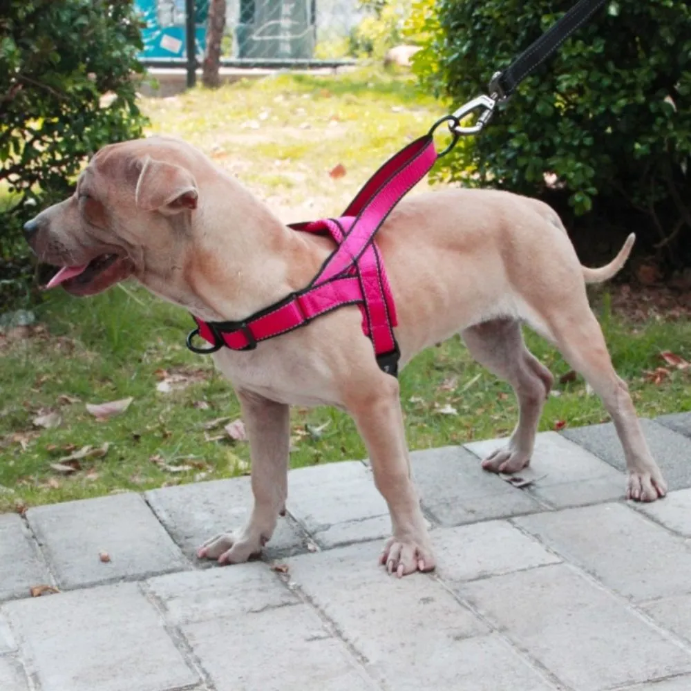 Nylon Dog Harness