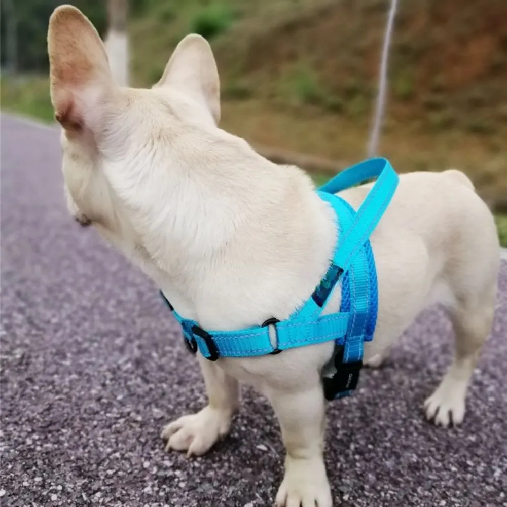 Nylon Dog Harness