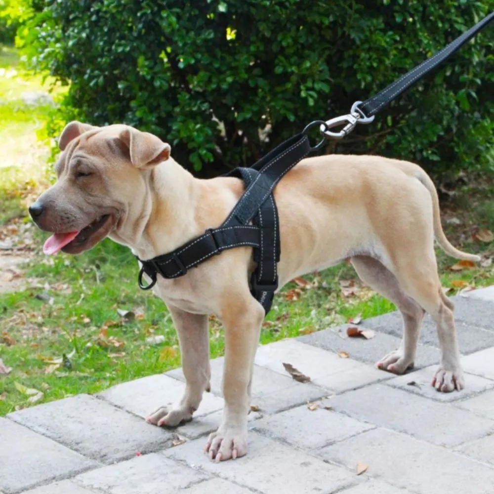 Nylon Dog Harness