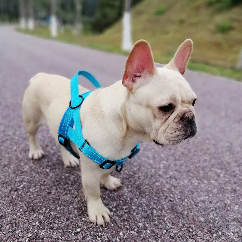 Nylon Dog Harness