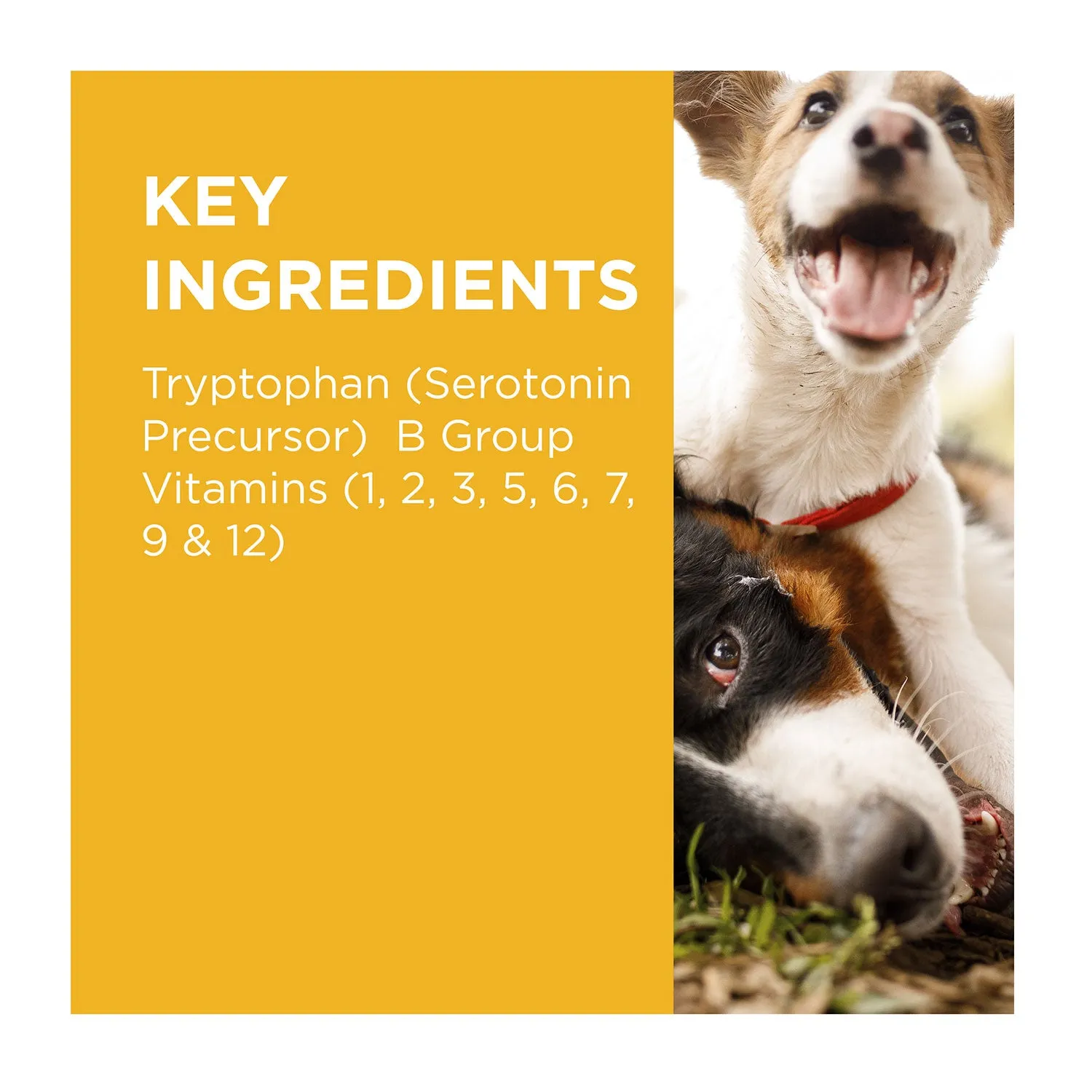 PAW Complete Calm Multivitamin Small Dog Chews 75g 30pk